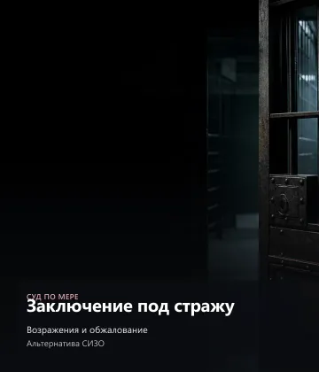 Заключение под стражу — подготовка, альтернативы, обжалование